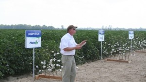 PhytoGen Showcases New Varieties