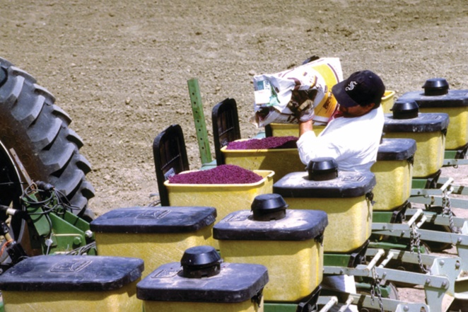 Seeding Rates: A Numbers Game