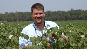 Chemtura to Market Diamond Insecticide