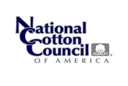 Logistics problems, prove that … All That Glitters Is Not Gold