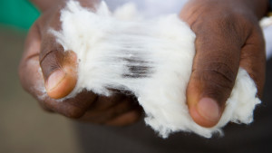 Indian Company Debuts Cotton for Technical Textiles