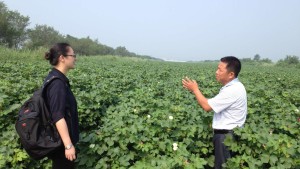 China Cotton Industry to Emphasize Quality Over Quantity