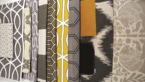 Designing a Brighter Future for Cotton