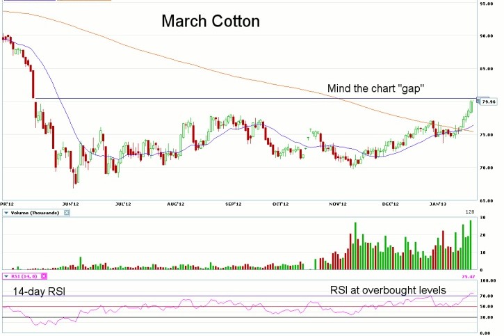 Cotton Prices Hit 7-Month High After Buyers Reject Chinese Reserve