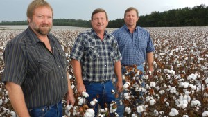 Florida Brothers Focus on Yield and Weeds