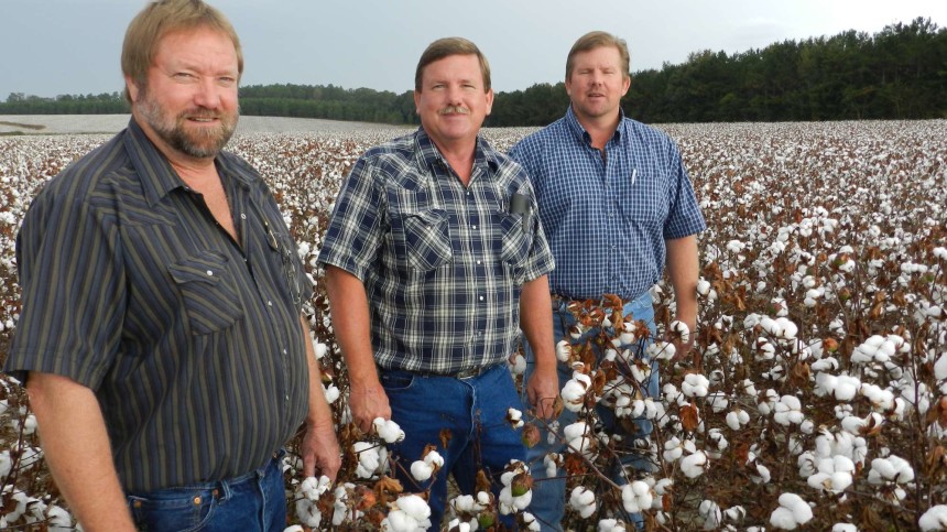 Florida Brothers Focus on Yield and Weeds