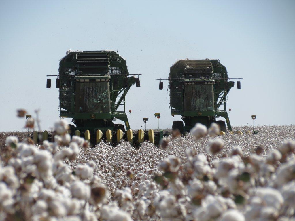 USDA Projects 10 Million Cotton Acres for 2013 Cotton Grower