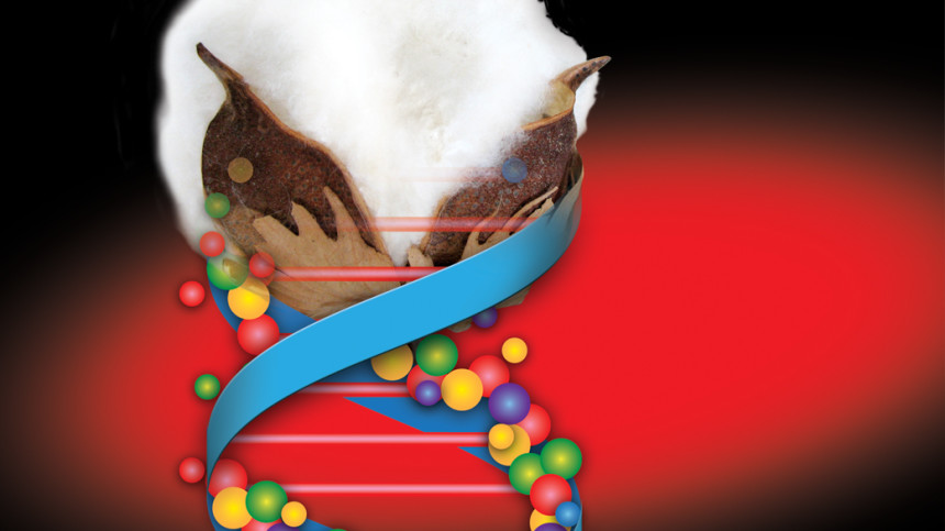 Monsanto and MIT Researchers Collaborate to Develop Ag Biologicals