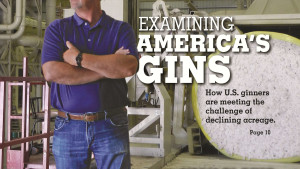 Southwest Producers Strike Back Against Resistant Pigweed