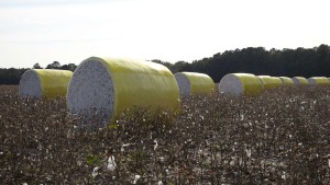 December Market Reports More Noteworthy for the Things They Don’t Say