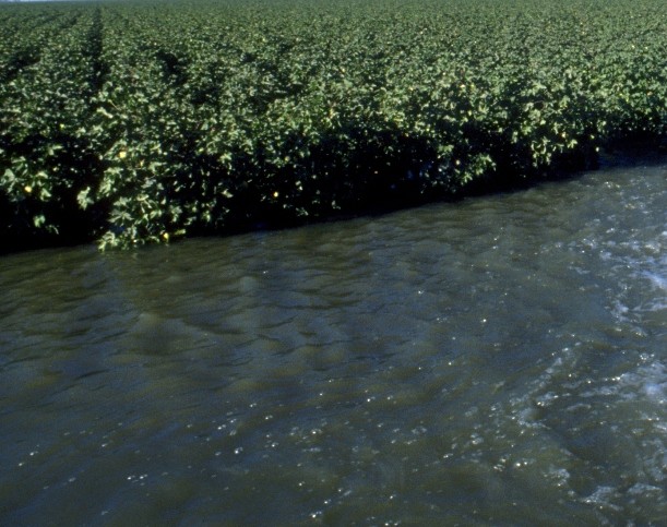 EPA, Universities to Partner on Nutrient Pollution and Hypoxic Zone Study