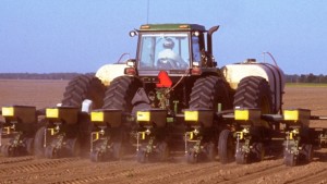 Southeast Shows Biggest Weekly Gains in Cotton Planting, Reports USDA