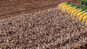 El Niño Is Coming. But When?