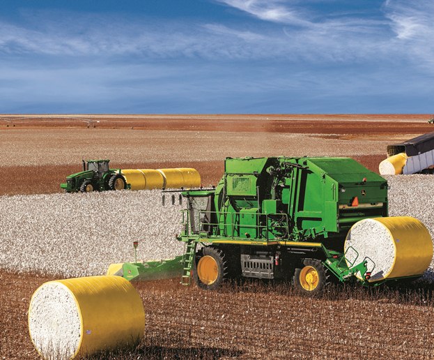 Cotton Harvesting: The Process & Equipment