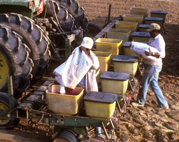 The Many Benefits of Reducing Your Seeding Rate