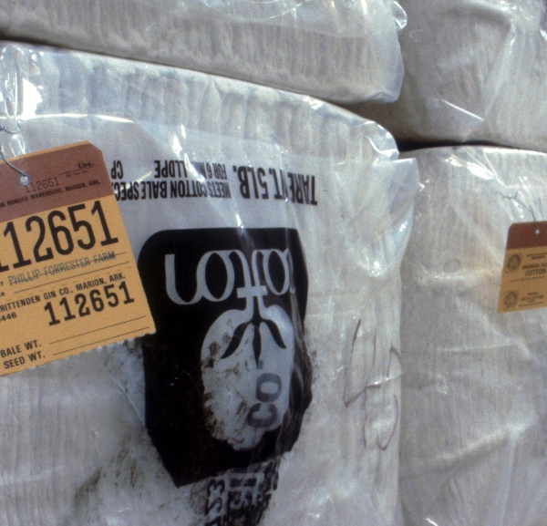 Plexus: Positive Market Moves in Past Week Ease Bearish Pattern