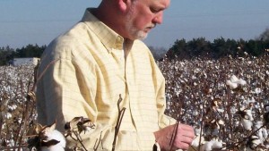 Shurley on Cotton: Prices Attempt to Stabilize, But Still Show Weakness