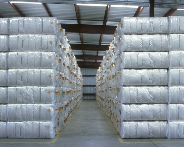 Cotton Highlights from March WASDE Report