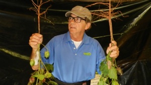 Nematode Research on the Rise