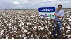 Kyle Fadal, Dow AgroSciences seed sales representative, has seen great results in the Newellton, La., area with the newly introduced PhytoGen® brand variety PHY 333 WRF.