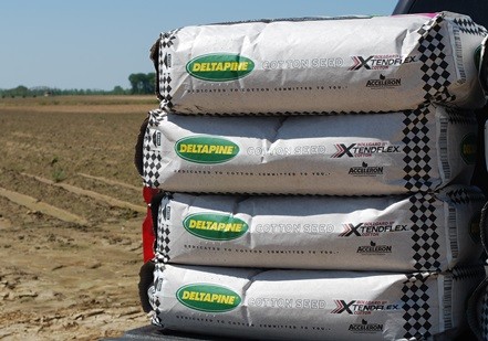 Deltapine NPE Program Begins Eighth Year of On-Farm Variety Evaluation