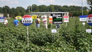 Deltapine Leads Cotton Varieties Planted in 2015