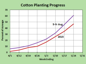 Shurley Planting Graph May27 Web