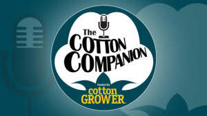 Cotton Companion – Episode 1
