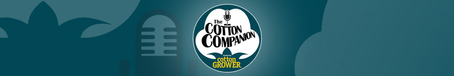 Cotton Companion
