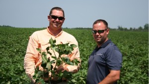 Solving the Nematode Puzzle