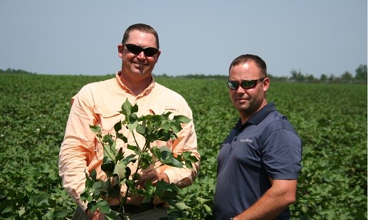 Solving the Nematode Puzzle