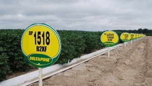 2016 Seed Showcase – Deltapine