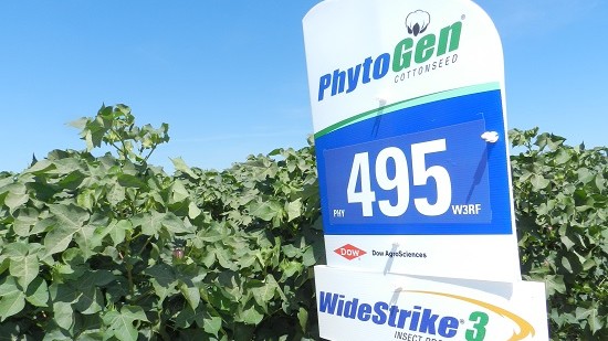 2016 Seed Showcase – PhytoGen