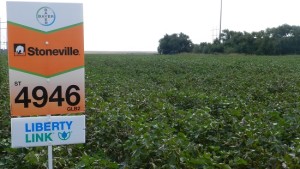 2016 Seed Showcase – Bayer CropScience