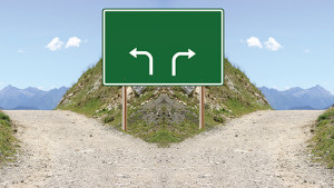 Carefully Review Marketing Options to Protect the Bottom Line