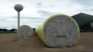 Market Prices Impacting Early 2016 Crop Decisions