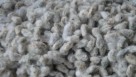 Better Cotton Initiative Partners with Avalo for AI Plant Breeding Effort