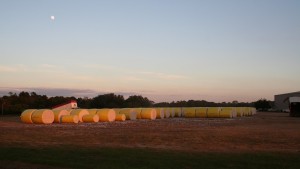 EWR and Deere Simplifying RFID Data Use in the Cotton Supply Chain