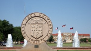 Sustainable Oil Sorbent Debuts in the U.S. Market