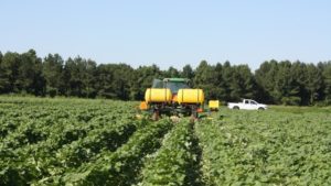 Arkansas 2018 Crop Enterprise Budgets Now Online