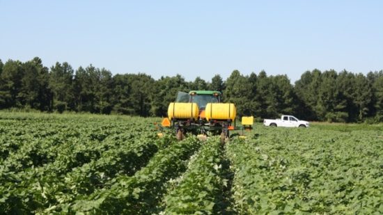 Arkansas 2018 Crop Enterprise Budgets Now Online