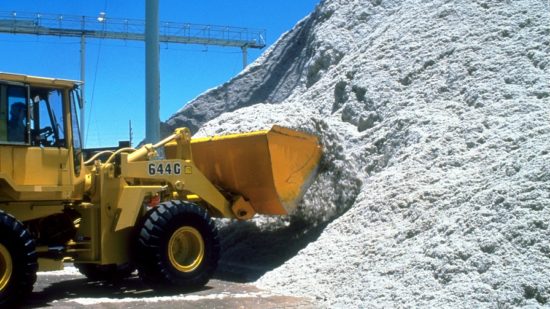 Boosting the Value of Cottonseed