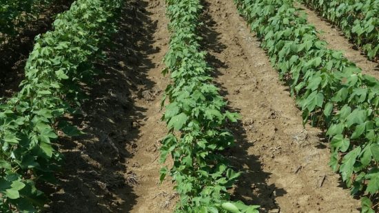 Don’t Be Your Own Worst Enemy