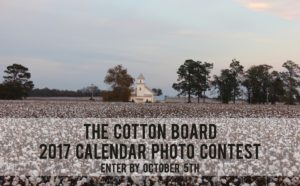 cotton-board-photo-contest-web