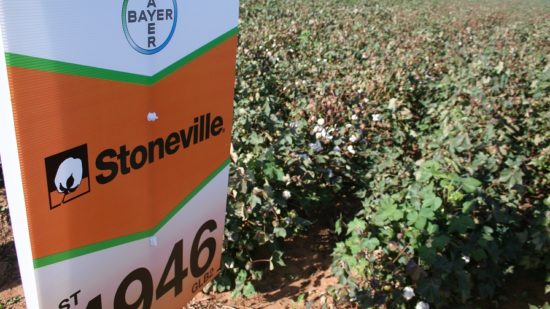 Bayer Opens New Southeast Cotton Breeding Station