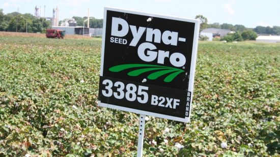 New Dyna-Gro Varieties Four Years in the Making