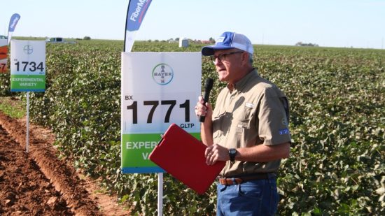 Bayer’s Seed Brands Consistent, But Not Complacent
