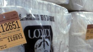 Optimistic Marketing – With a Dose of Caution