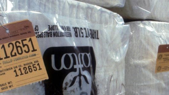 Optimistic Marketing – With a Dose of Caution