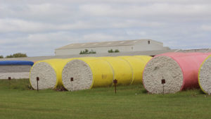 Arkansas Cotton Acreage and Ginning Capacity Grew in 2019
